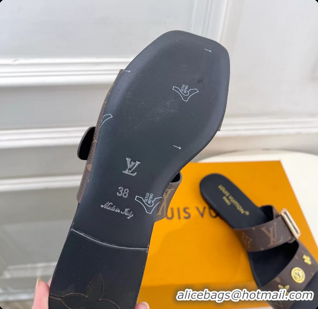 Stylish Louis Vuitton Monogram Canvas Flat Slides Sandals 6062105