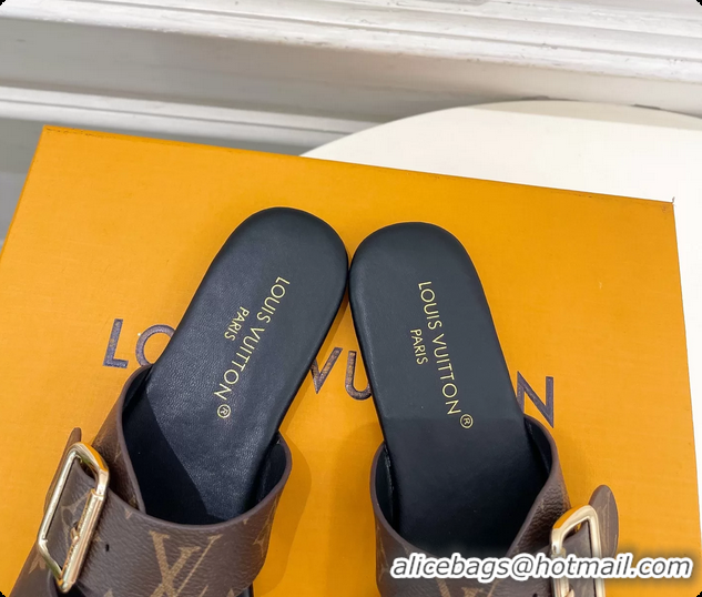 Stylish Louis Vuitton Monogram Canvas Flat Slides Sandals 6062105