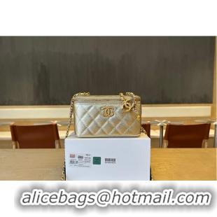 Cheapest Chanel Small Classic Vanity Case Light Gold Metallic Caviar Brushed Light Gold Hardware AS6283