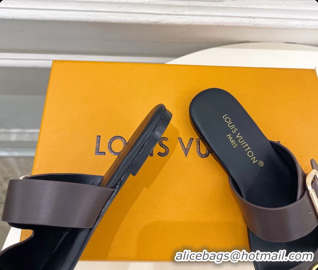 Durable Louis Vuitton Dark Brown Calfskin Leather Flat Slides Sandals 6062107