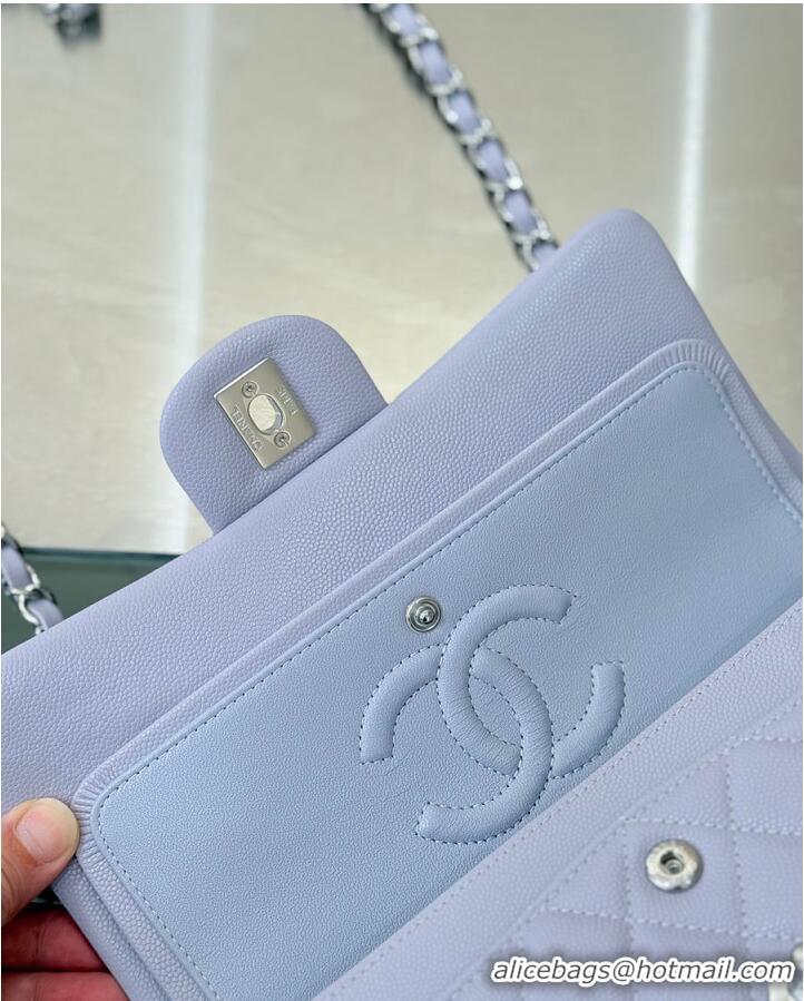 Top Grade Chanel Classic Flap Bag Caviar Leather AP4176 Lilac/Silver 2026
