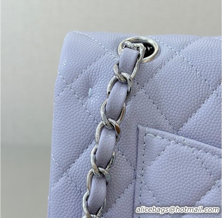 Top Grade Chanel Classic Flap Bag Caviar Leather AP4176 Lilac/Silver 2026