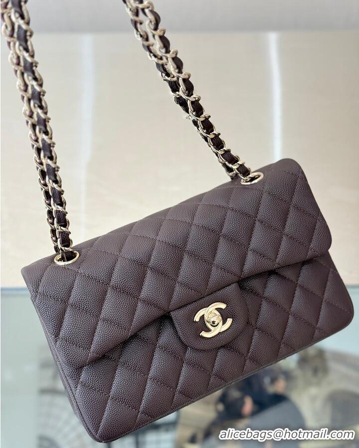 Good Discount Chanel Classic Flap Bag Caviar Leather AP4176 Dark Brown/Silver 2026