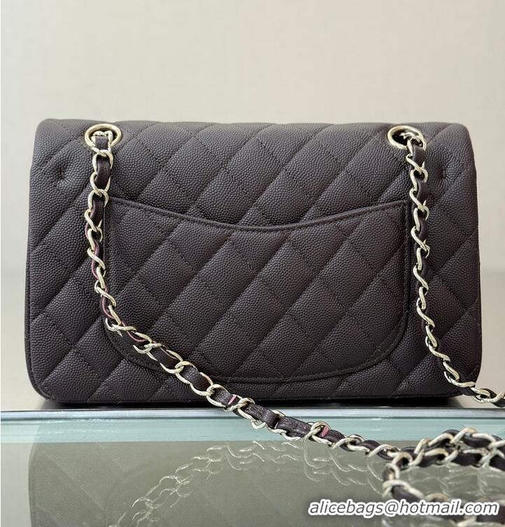 Good Discount Chanel Classic Flap Bag Caviar Leather AP4176 Dark Brown/Silver 2026