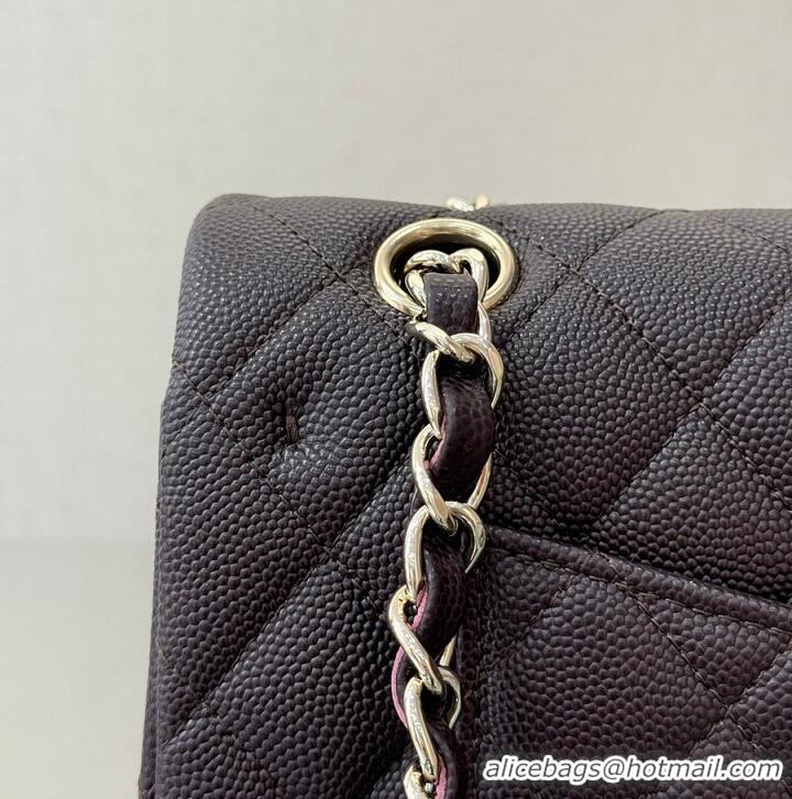 Good Discount Chanel Classic Flap Bag Caviar Leather AP4176 Dark Brown/Silver 2026