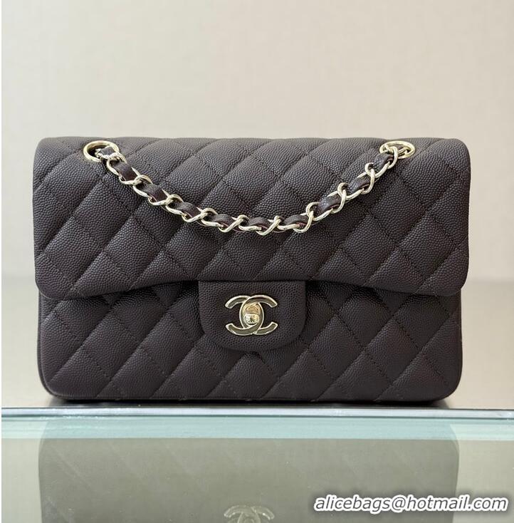 Good Discount Chanel Classic Flap Bag Caviar Leather AP4176 Dark Brown/Silver 2026