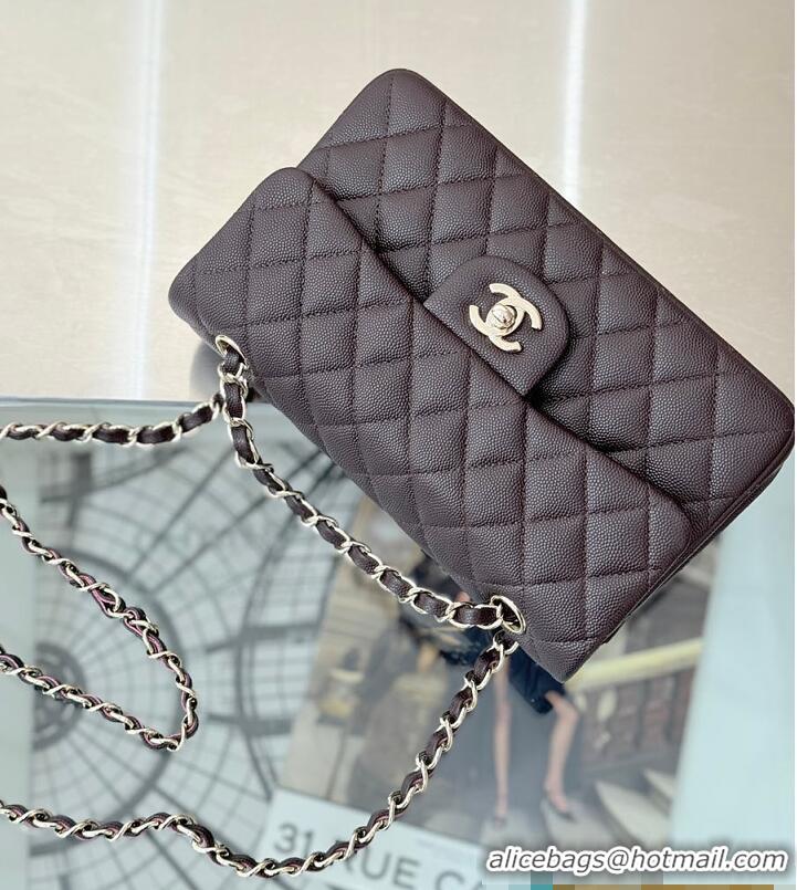Good Discount Chanel Classic Flap Bag Caviar Leather AP4176 Dark Brown/Silver 2026