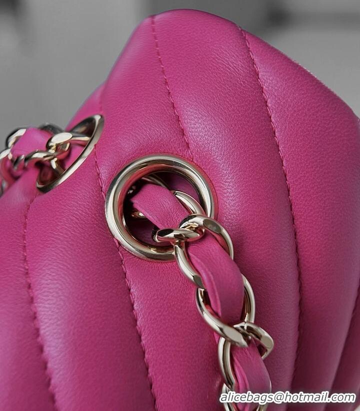 Market Sells Chanel Medium Chevron Coco Handle Bag AS5199 Rose Red 2026