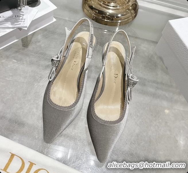 Luxurious Dior Jadior Gray Velvet Slingback Pumps 40MM 6062401