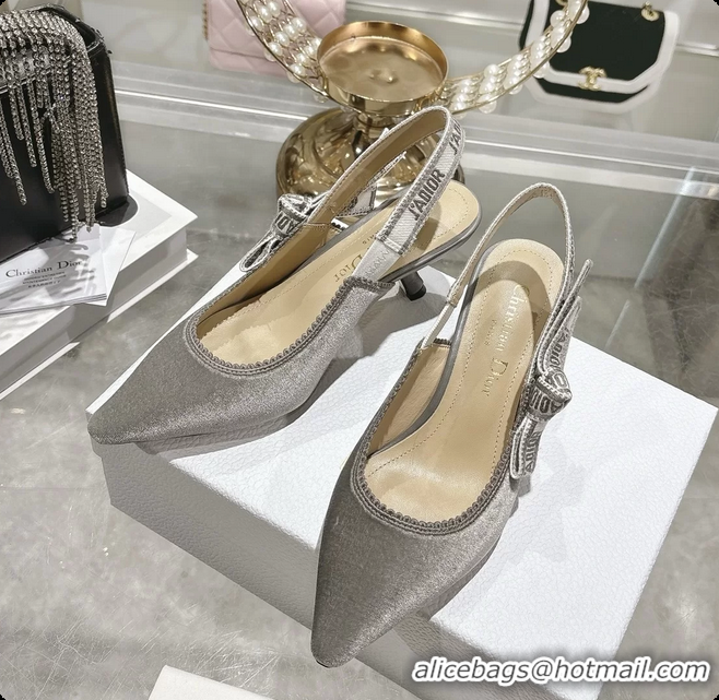 Luxurious Dior Jadior Gray Velvet Slingback Pumps 40MM 6062401