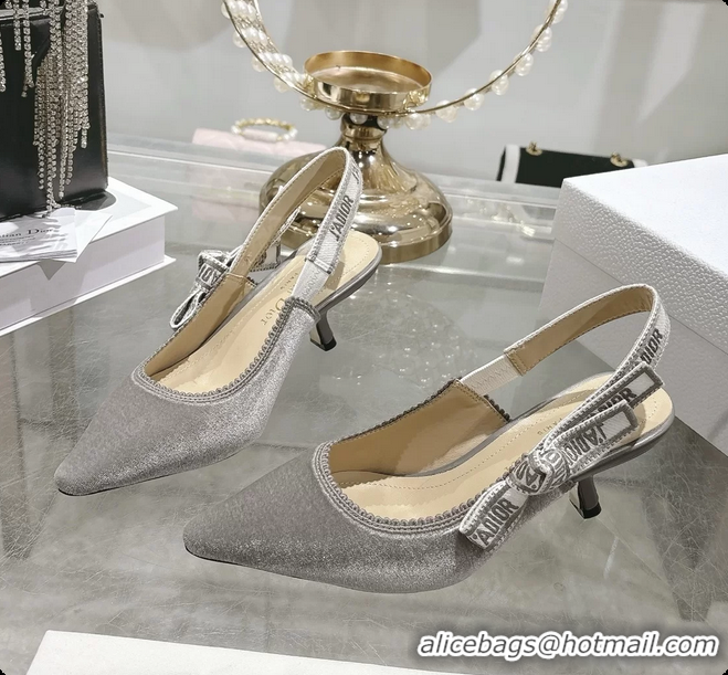 Luxurious Dior Jadior Gray Velvet Slingback Pumps 40MM 6062401