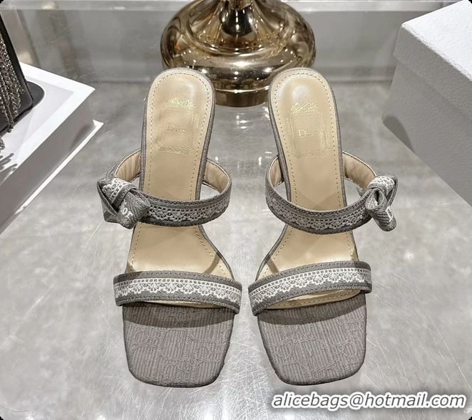Durable Dior Heeled Sandal with Jadior Straps Gray Embroidered Cotton 75MM 6062402