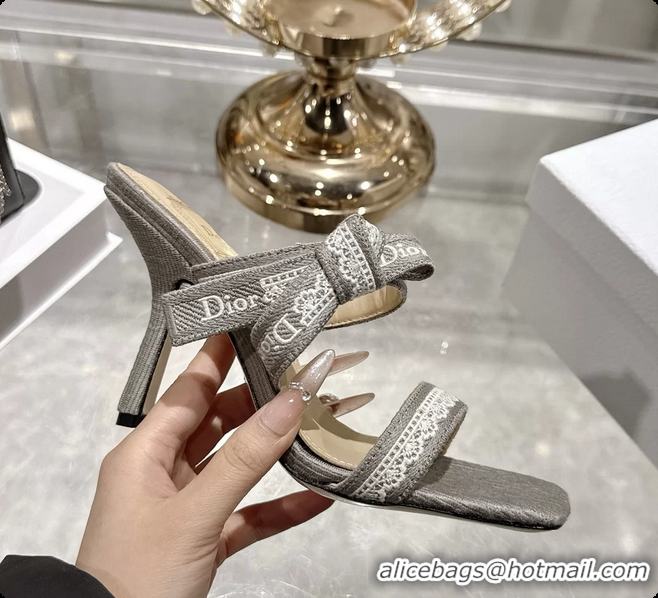 Durable Dior Heeled Sandal with Jadior Straps Gray Embroidered Cotton 75MM 6062402