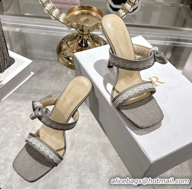 Durable Dior Heeled Sandal with Jadior Straps Gray Embroidered Cotton 75MM 6062402