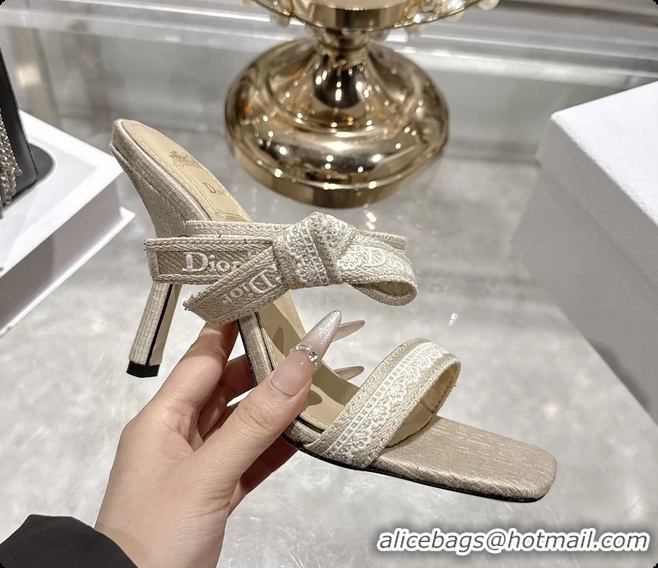Good Looking Dior Heeled Sandal with Jadior Straps Beige Embroidered Cotton 75MM 6062402