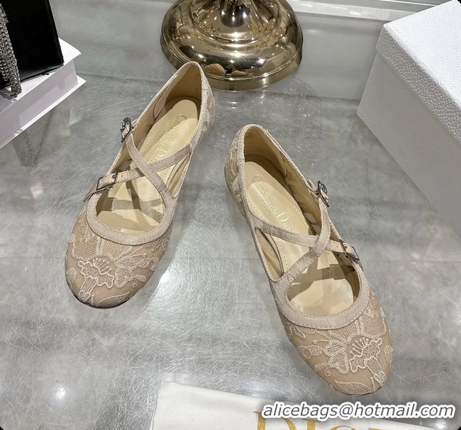 Fashion Dior Very Dior Ballet Flat Shoes Transparent Mesh Embroidered with Beige Millefiori Motif 6062408