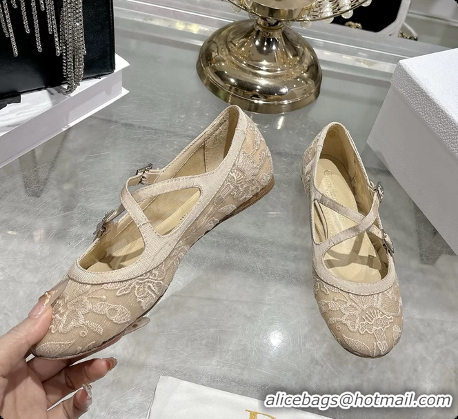 Fashion Dior Very Dior Ballet Flat Shoes Transparent Mesh Embroidered with Beige Millefiori Motif 6062408