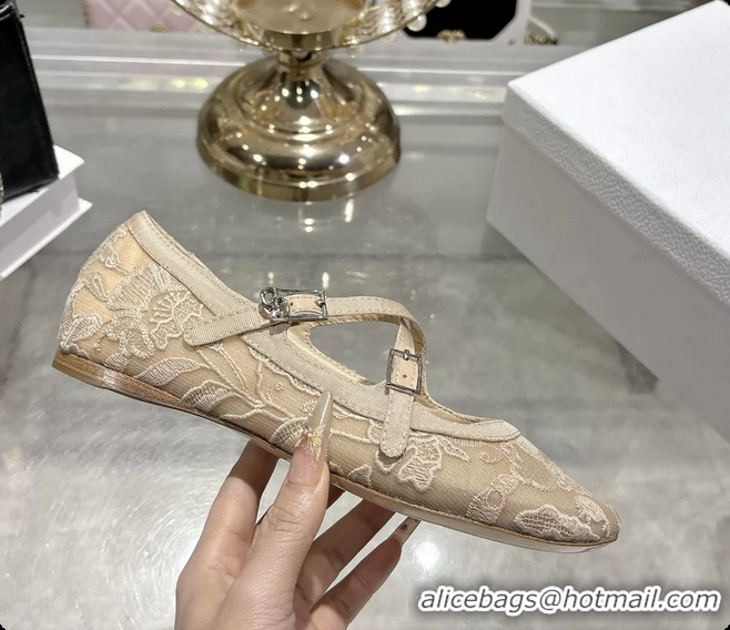 Fashion Dior Very Dior Ballet Flat Shoes Transparent Mesh Embroidered with Beige Millefiori Motif 6062408