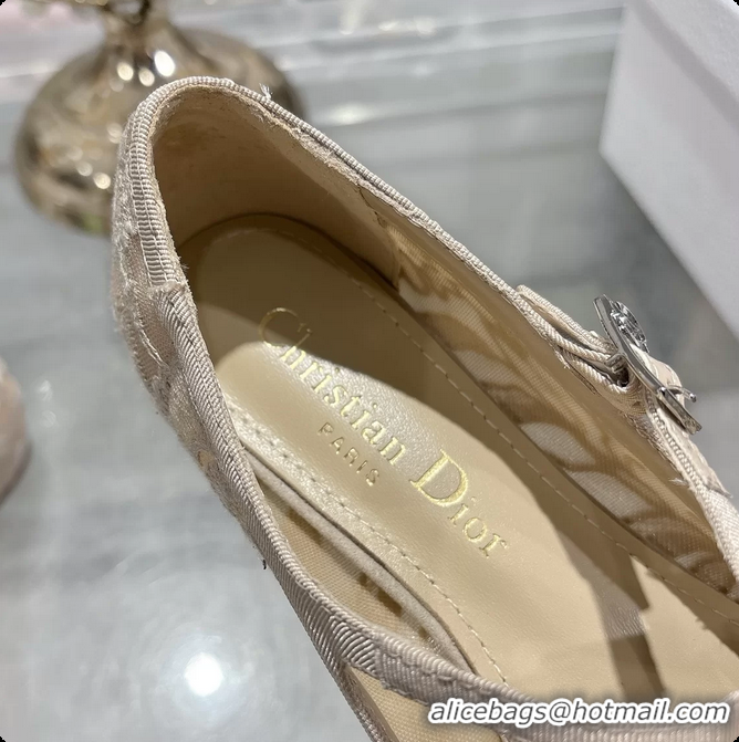 Fashion Dior Very Dior Ballet Flat Shoes Transparent Mesh Embroidered with Beige Millefiori Motif 6062408