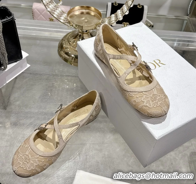Fashion Dior Very Dior Ballet Flat Shoes Transparent Mesh Embroidered with Beige Millefiori Motif 6062408