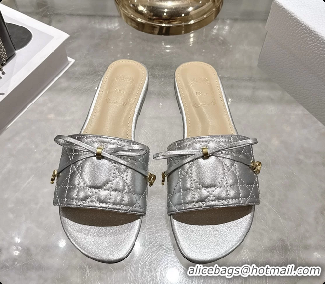 Stylish Dior Cannage Flat Slide Sandals Shoes Silver Quilted Cannage Lambskin 6062409
