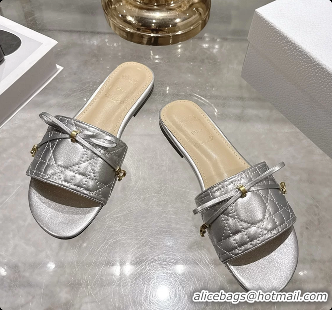 Stylish Dior Cannage Flat Slide Sandals Shoes Silver Quilted Cannage Lambskin 6062409