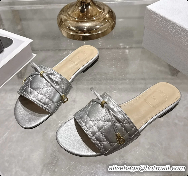 Stylish Dior Cannage Flat Slide Sandals Shoes Silver Quilted Cannage Lambskin 6062409