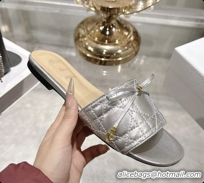 Stylish Dior Cannage Flat Slide Sandals Shoes Silver Quilted Cannage Lambskin 6062409