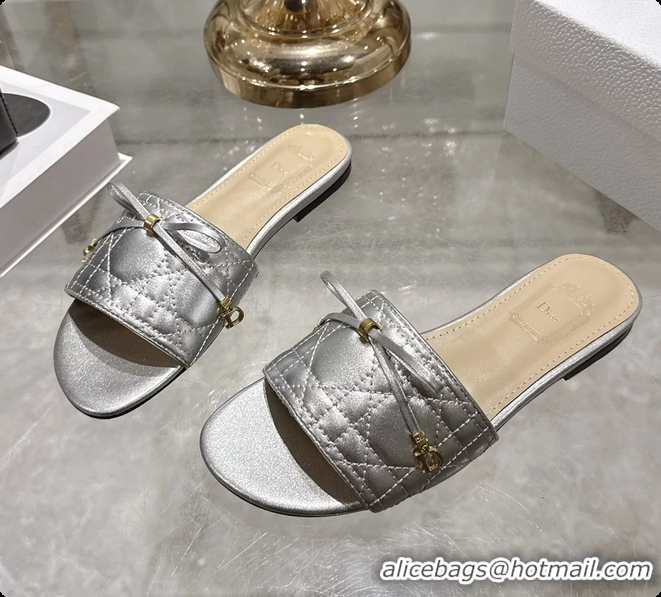 Stylish Dior Cannage Flat Slide Sandals Shoes Silver Quilted Cannage Lambskin 6062409