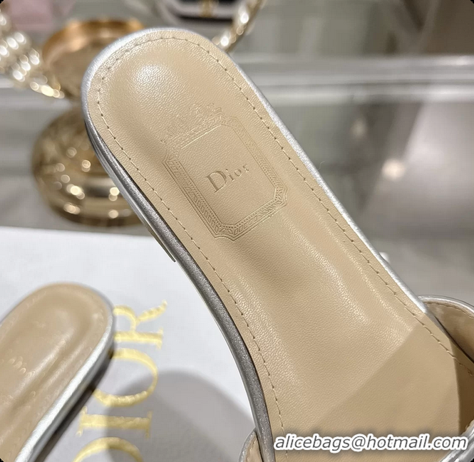 Stylish Dior Cannage Flat Slide Sandals Shoes Silver Quilted Cannage Lambskin 6062409