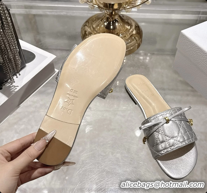 Stylish Dior Cannage Flat Slide Sandals Shoes Silver Quilted Cannage Lambskin 6062409