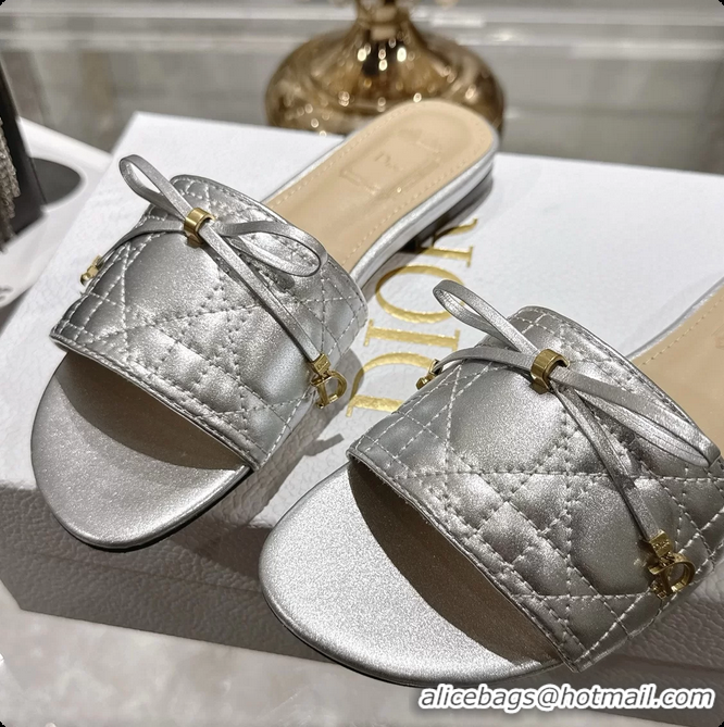 Stylish Dior Cannage Flat Slide Sandals Shoes Silver Quilted Cannage Lambskin 6062409