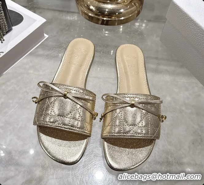 Charming Dior Cannage Flat Slide Sandals Shoes Gold Quilted Cannage Lambskin 6062409