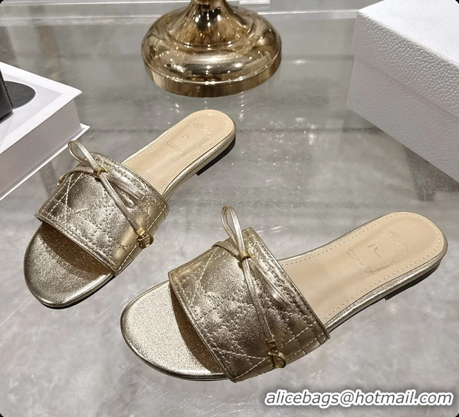 Charming Dior Cannage Flat Slide Sandals Shoes Gold Quilted Cannage Lambskin 6062409