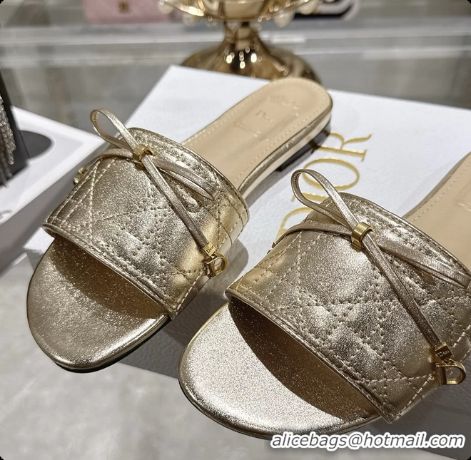 Charming Dior Cannage Flat Slide Sandals Shoes Gold Quilted Cannage Lambskin 6062409