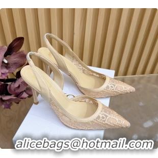 Top Grade Dior Adiorable Slingback Pump Beige Dior Oblique Embroidered Mesh 85MM 6062601