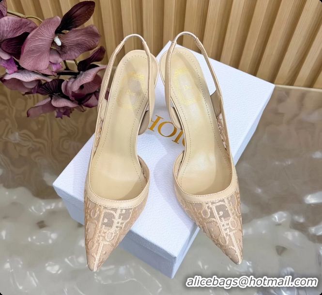 Top Grade Dior Adiorable Slingback Pump Beige Dior Oblique Embroidered Mesh 85MM 6062601
