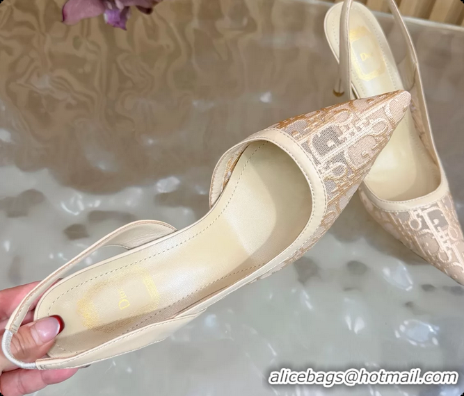 Top Grade Dior Adiorable Slingback Pump Beige Dior Oblique Embroidered Mesh 85MM 6062601