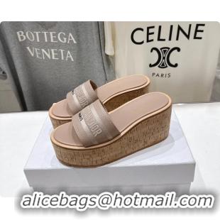 Feminine Dior Dway Platform Slide Sandals Gray Grained Calfskin 6062603