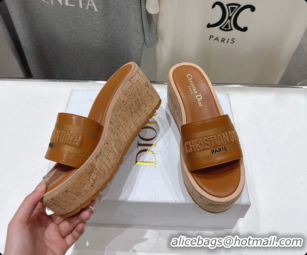 Unique Style Dior Dway Platform Slide Sandals Brown Grained Calfskin 6062603