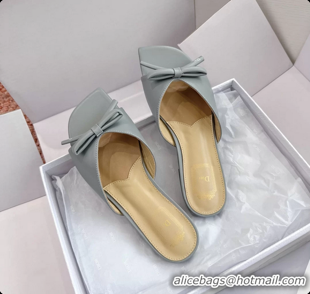 Charming Dior Bow Flat Mule Slides Sandals Light Blue Calfskin Leather 6062704