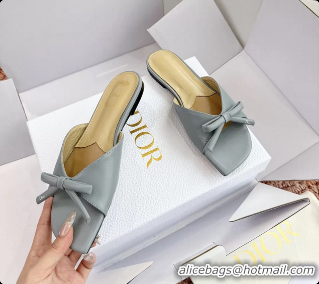 Charming Dior Bow Flat Mule Slides Sandals Light Blue Calfskin Leather 6062704