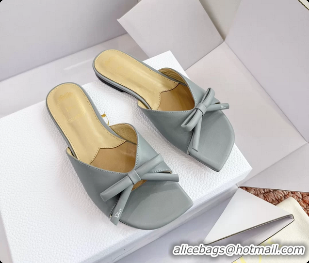 Charming Dior Bow Flat Mule Slides Sandals Light Blue Calfskin Leather 6062704