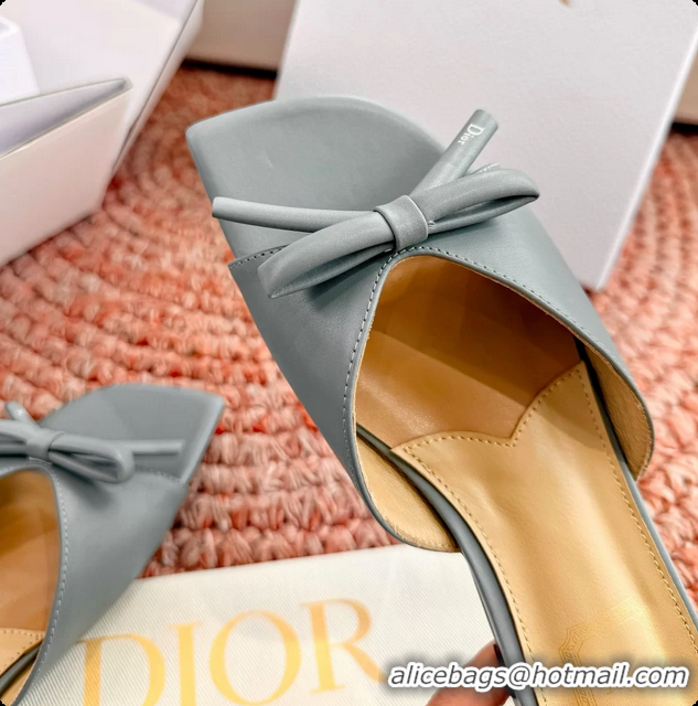 Charming Dior Bow Flat Mule Slides Sandals Light Blue Calfskin Leather 6062704
