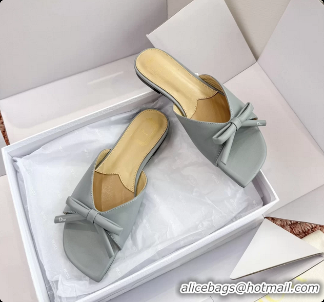 Charming Dior Bow Flat Mule Slides Sandals Light Blue Calfskin Leather 6062704