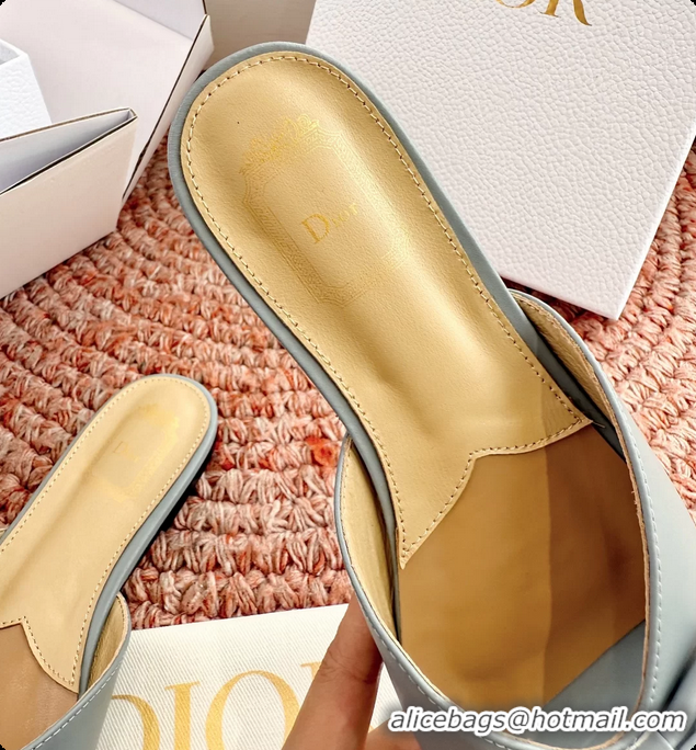 Charming Dior Bow Flat Mule Slides Sandals Light Blue Calfskin Leather 6062704