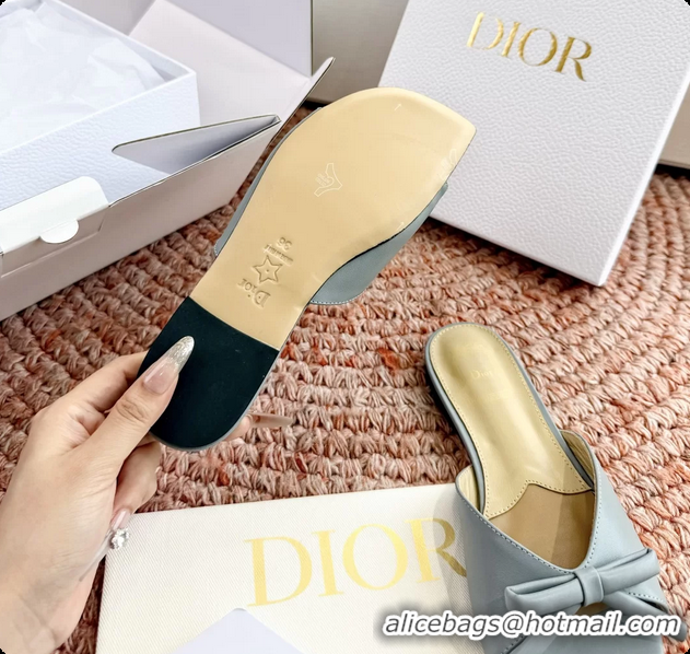 Charming Dior Bow Flat Mule Slides Sandals Light Blue Calfskin Leather 6062704