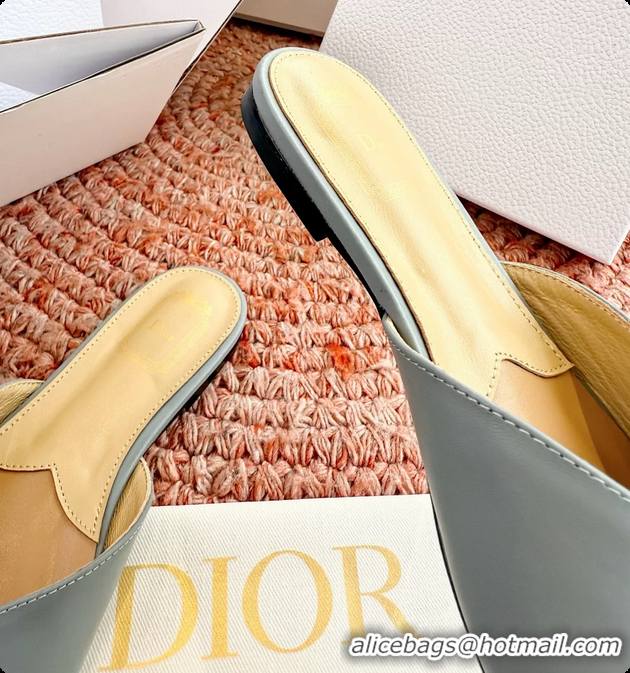 Charming Dior Bow Flat Mule Slides Sandals Light Blue Calfskin Leather 6062704