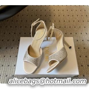 Best Product Dior Strass Embroidered Dway Heeled Sandals Beige 80MM 6062803