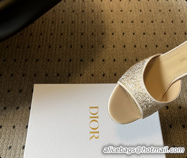 Best Product Dior Strass Embroidered Dway Heeled Sandals Beige 80MM 6062803